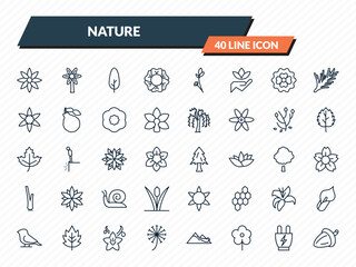 Obraz premium nature icons set - clematis, hypericum, cypress, eco socket, oak outline vector collection.