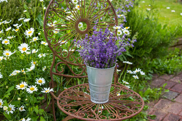 Beautiful fresh lavender flowers in a vase on chair