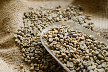 Close up of raw green coffee beans in scoop on burlap fabric, natural texture background for coffee roasting, agriculture, specialty coffee, and food industry use.
