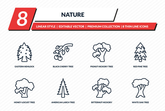 nature icons set - eastern hemlock tree, black cherry tree, pignut hickory tree, red pine white oak outline vector collection.