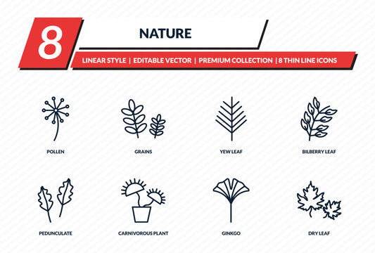 nature icons set - pollen, grains, yew leaf, bilberry leaf, dry leaf outline vector collection.