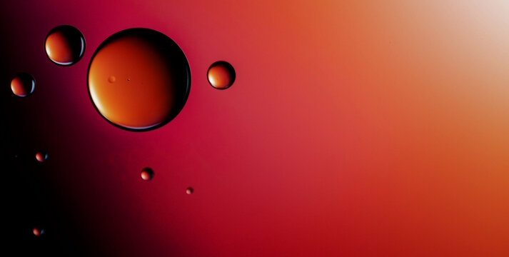 A Mesmerizing Dive into the World of Liquid Art
