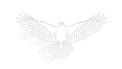 Fototapeta premium Adobe Illustrator Artwork