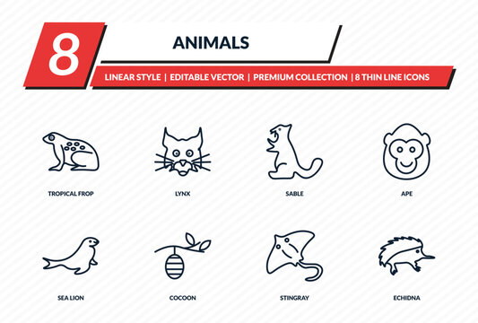 animals icons set - tropical frop, lynx, sable, ape, echidna outline vector collection.