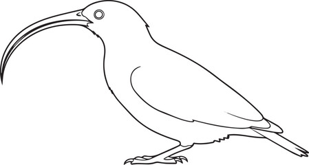 Obraz premium silhouette of clean vector of BeakArc Bird isolated on white background