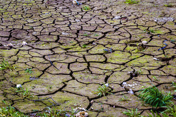 Dry ground surface shows deep cracks with small grass clumps and debris between them. Pattern of...