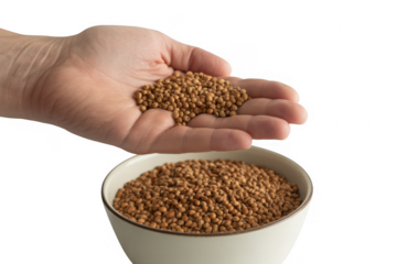 Hand holding brown seeds over a bowl food agriculture isolated on a transparent background