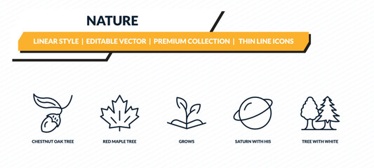 nature icons set - chestnut oak tree, red maple tree, grows, saturn with his ring, tree with white foliage outline vector collection. © IconArt