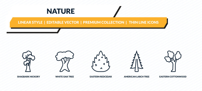 nature icons set - shagbark hickory tree, white oak tree, eastern redcedar tree, american larch eastern cottonwood outline vector collection.