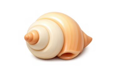 Minimalist seashell icon design for summer themes and nautical decor