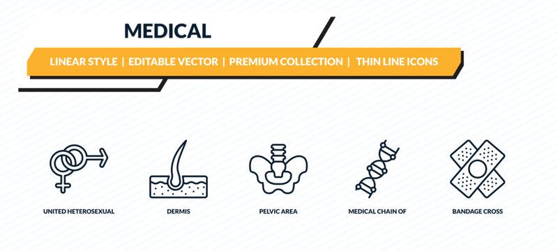 medical icons set - united heterosexual, dermis, pelvic area, medical chain of dna, bandage cross outline vector collection.