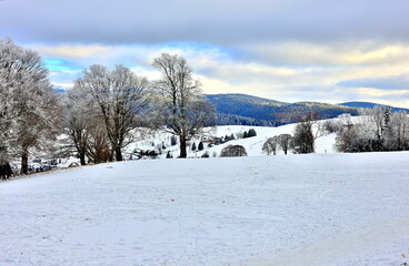 Winterlandschaft auf dem Schauinsland im Schwarzwald