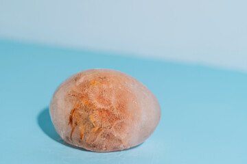 Single brown frozen egg in ice on blue background, minimal concept. High quality photo