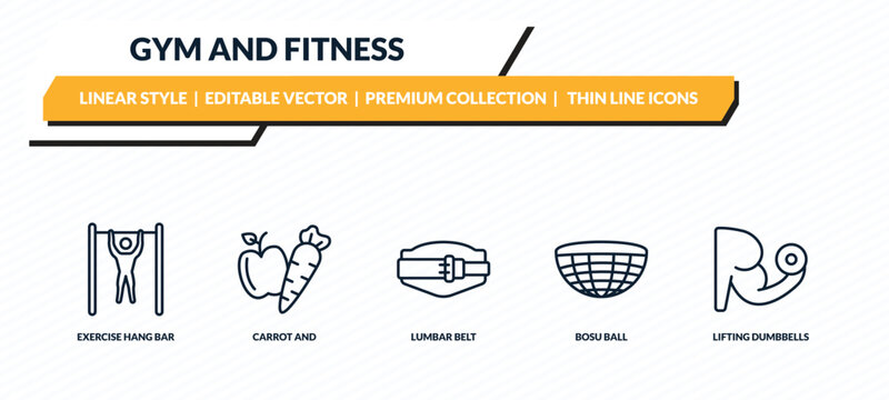 gym and fitness icons set - exercise hang bar, carrot and, lumbar belt, bosu ball, lifting dumbbells outline vector collection.