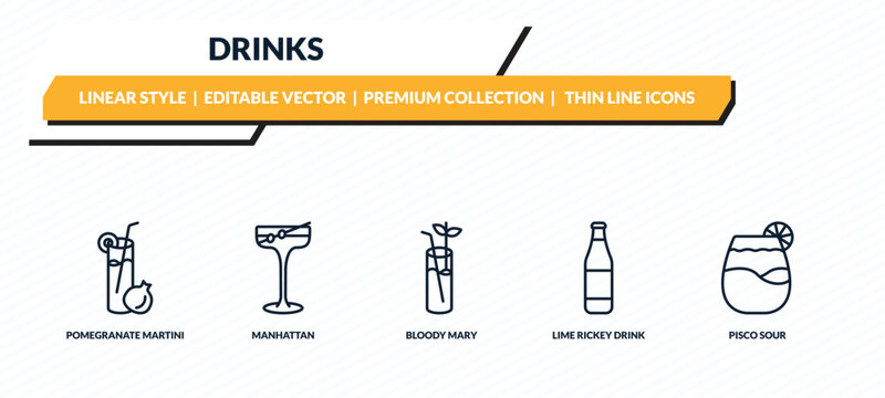 drinks icons set - pomegranate martini, manhattan, bloody mary, lime rickey drink, pisco sour outline vector collection.