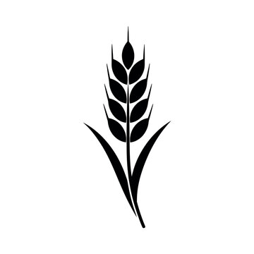 Solid black silhouette of a wheat stalk with two leaves. Professional flat vector icon for bakery, brewery, or agricultural logo design.