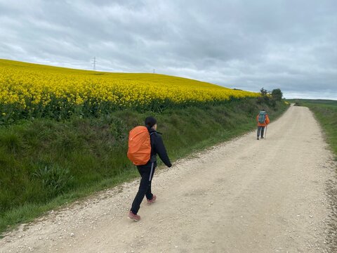 Cammino di Santiago - Mesetas