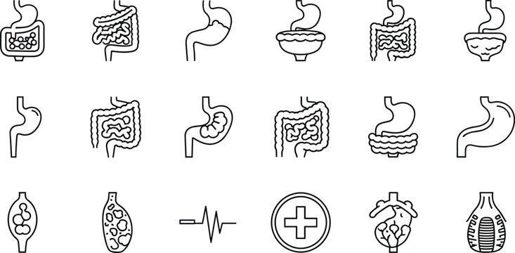 Digestive system line icon set featuring stomach, intestines, colon, gut health, and medical anatomy outline symbols