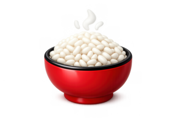 Steaming rice bowl illustration for asian cuisine design