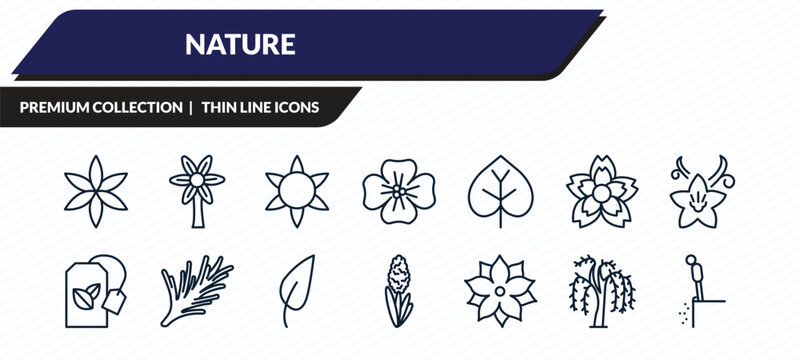 nature icons set - aster, hypericum, gerbera, willow, cliff outline vector collection.