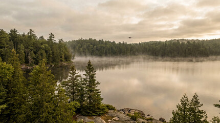 Fototapeta premium Fog hovers over the lake while trees line the shore. A drone flies above the water at sunrise in a forest setting.