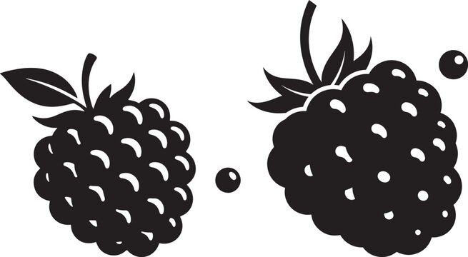 Minimalist black and white vector illustration of two fresh blackberries or raspberries with leaves, isolated organic fruit icons for design. Vector