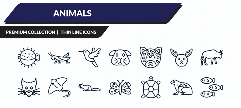 animals icons set - puffer, grasshopper, humming bird, tropical frop, shoal outline vector collection.