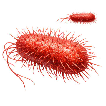 Vibrant 3d rendering of red bacteria with pili and flagella isolated on transparent background