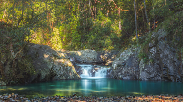 An idyllic natural pool at Cougal Cascade in Springbrook National Park in the tropical rainforest of Queensland, Australia.