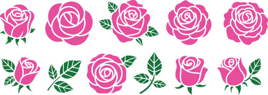 A set of pink roses with green leaves on transparent background high-quality professional detailed modern elegant stylish clean crisp vibrant