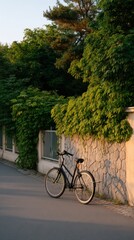 Fototapeta premium Serene Scene with Bicycle Parked Beside Ivy-Covered Wall at Sunset