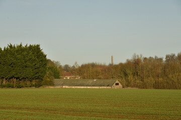 Grange allong&eacute;e et au loin derri&egrave;re un bois, la tour du plan inclin&eacute; de Ronqui&egrave;re &agrave; &Eacute;caussinnes-D'Enghien (Soignies)