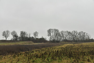 Terrain retourn&eacute; sous la pluie &agrave; Frasnes-Lez-Gosselies (Charleroi) 