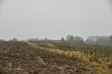 Champ boueux en hiver par temps de pluie &agrave; Frasnes-Lez-Gosselies (Charleroi) 