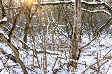 Warsaw, winter landscape of the Polish capital. A walk along the Vistula River.