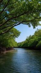 Obraz premium Serene Mangrove Roots Form Natural Archways Above Calm Water in Tropical Landscape