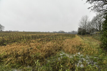 Champ boueux en hiver par temps de pluie &agrave; Frasnes-Lez-Gosselies (Charleroi) 