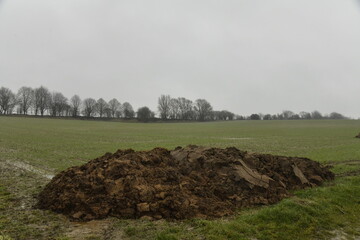 Tas de lisier pour fertiliser un champ sous la pluie &agrave; Frasnes-Lez-Gosselies (Charleroi)