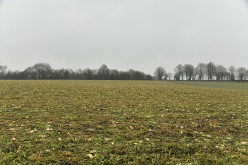 For&ecirc;t en hiver derri&egrave;re un champ sous la pluie &agrave; Frasnes-Lez-Gosselies (Charleroi)
