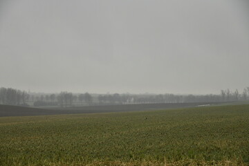 Paysage rural et plat sous la bruine battante &agrave; Frasnes-Lez-Gosselies (Charleroi) 
