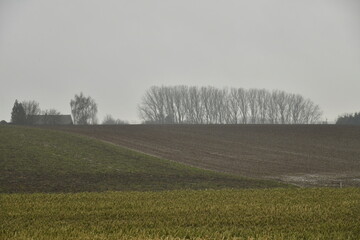Paysage rural et plat sous la bruine battante &agrave; Frasnes-Lez-Gosselies (Charleroi) 