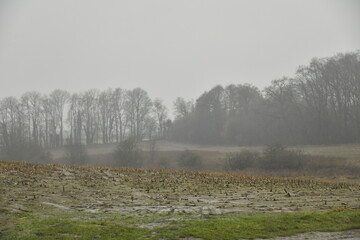 For&ecirc;t en hiver derri&egrave;re un champ sous la pluie &agrave; Frasnes-Lez-Gosselies (Charleroi)