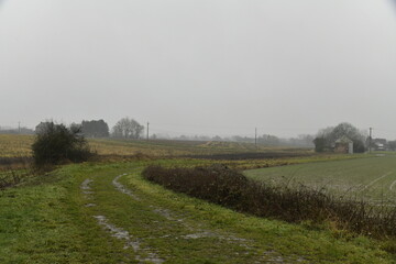 Paysage rural sous la brume et la bruine &agrave; Frasnes-Lez-Gosselies (Charleroi)