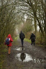 Promenade avec reflet dans les flaques d'eau dans un bois &agrave; Frasnes-Lez-Gosselies (Charleroi)