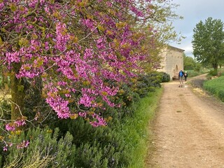 Cammino di Santiago - l&rsquo;Hospital de San Nicol&aacute;s sul Cammino Francese