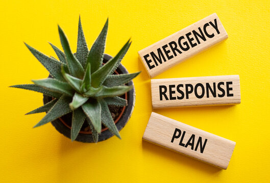 Emergency Response Plan symbol. Concept words Emergency Response Plan on wooden blocks. Businessman hand. Beautiful yellow background with succulent. Business concept. Copy space.