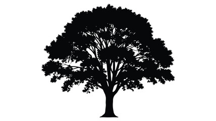 Fototapeta premium A striking black tree form against a white backdrop silhouette
