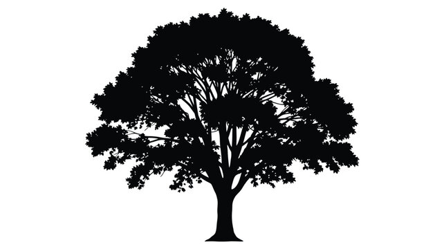 A striking black tree form against a white backdrop silhouette