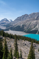 Wonderful aerial view of Peyto Lake in summer season under blue sky