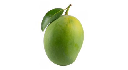 Green mango fruit with leaf tropical isolated on a transparent background
